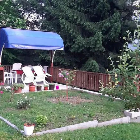 Honey * Bihać