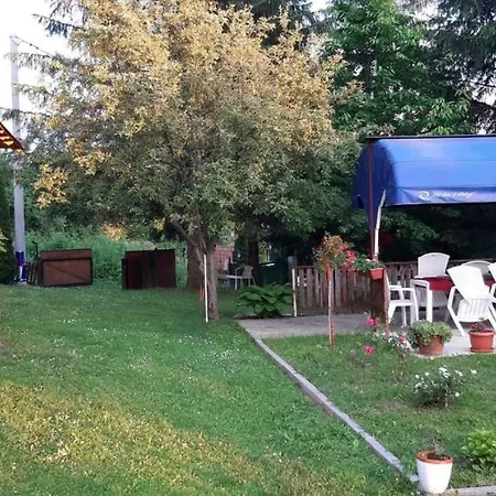Honey * Bihać